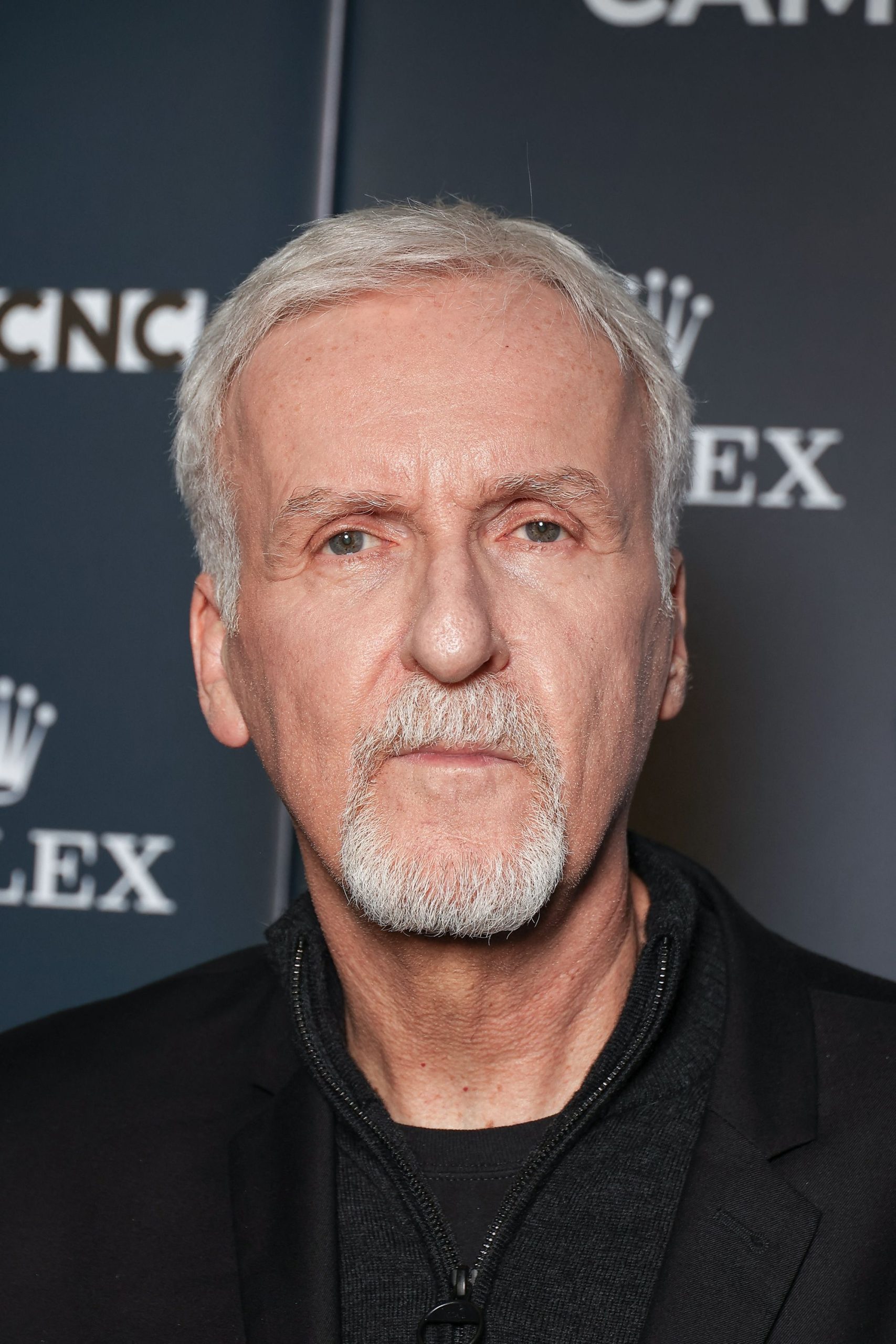 ‘Avatar’s James Cameron Makes Controversial Statement About Using AI in Movies – ryan