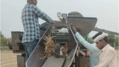 In Sawai Madhopur, farmers fell into a thirster at the time of cutting wheat, a body into pieces, a handkerchief became the reason for death