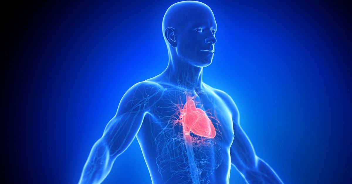 HEART WELLINGS … Symptoms, Causes and How to Treat