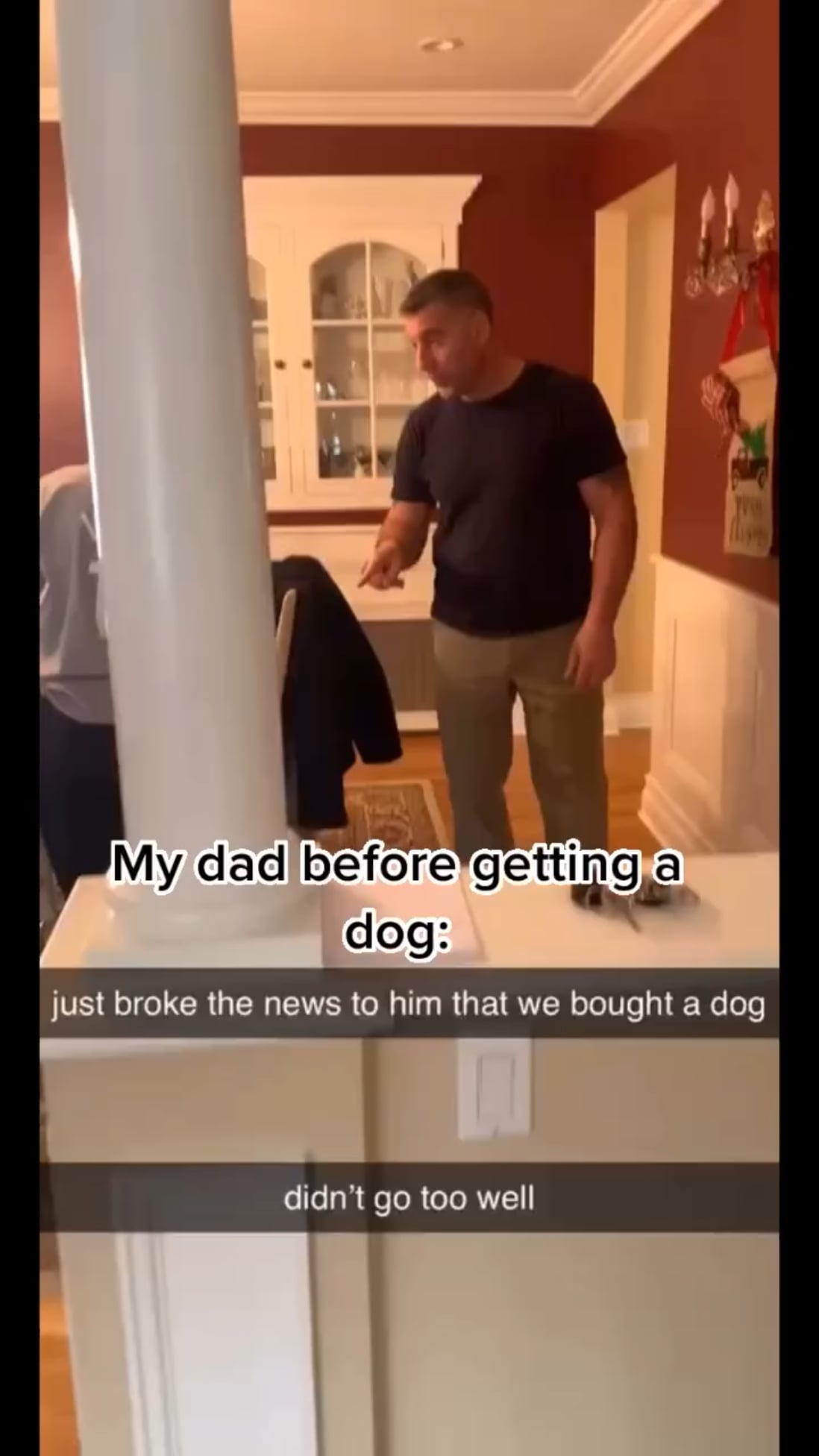 Dad who didnn’T because a dog – ryan