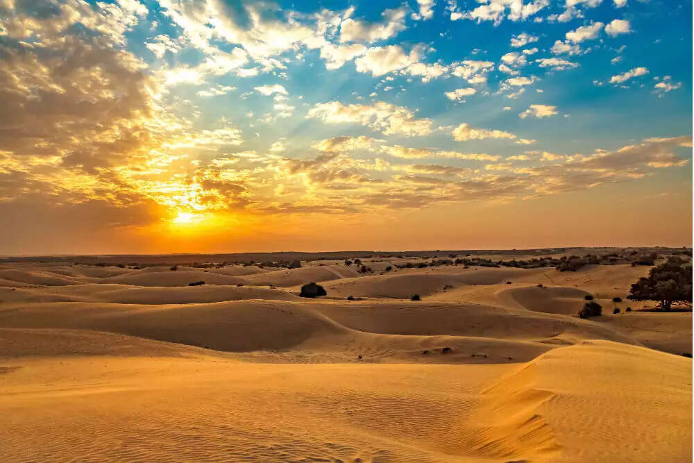 How a great sea turned into a warm desert, the story of the birth of Thar desert in a beautiful 3 -minute video?