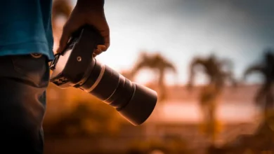 Best Mirrorless Camera For Beginners: Budget choices with a good autofocus