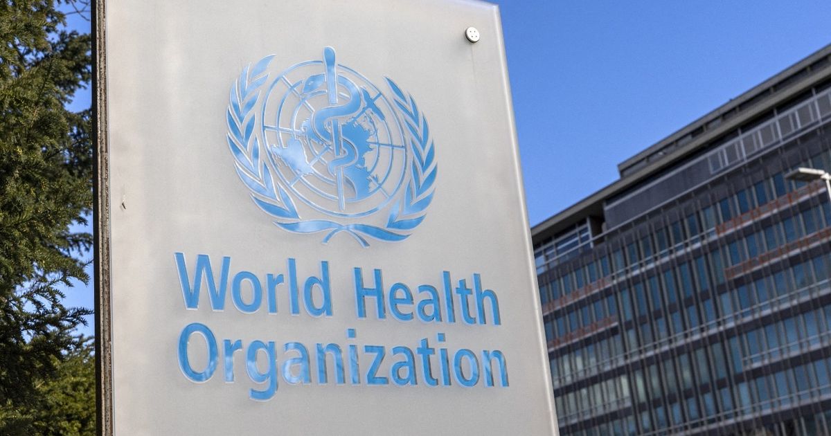 World Health: China has not discovered new causes for raising respiratory diseases