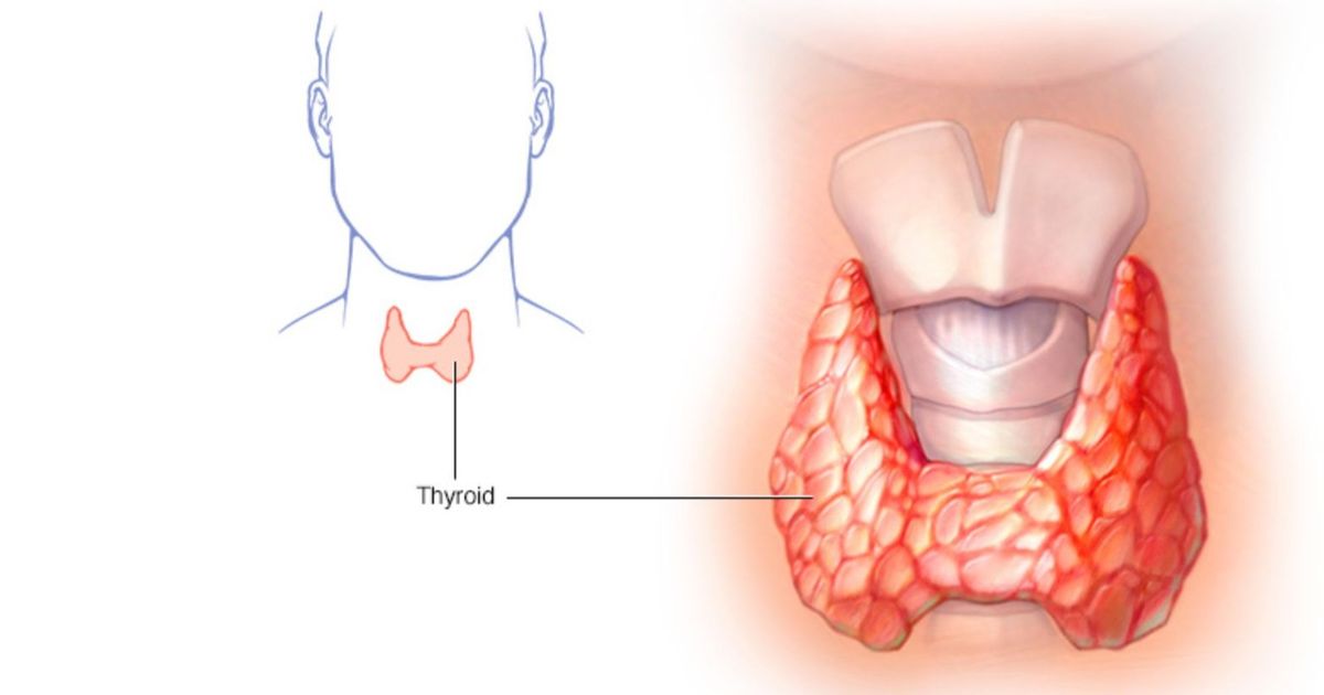 Study: Arthritis treatment can protect against immune gland disease