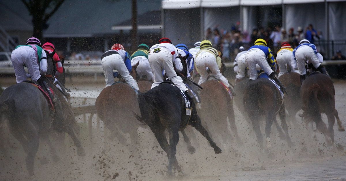 Technology investors need more than one unicorn businesses