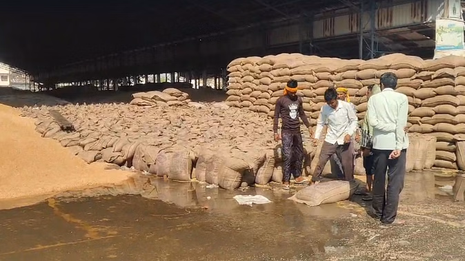 Wheat should not remain in public must be kept safe in the warehouse