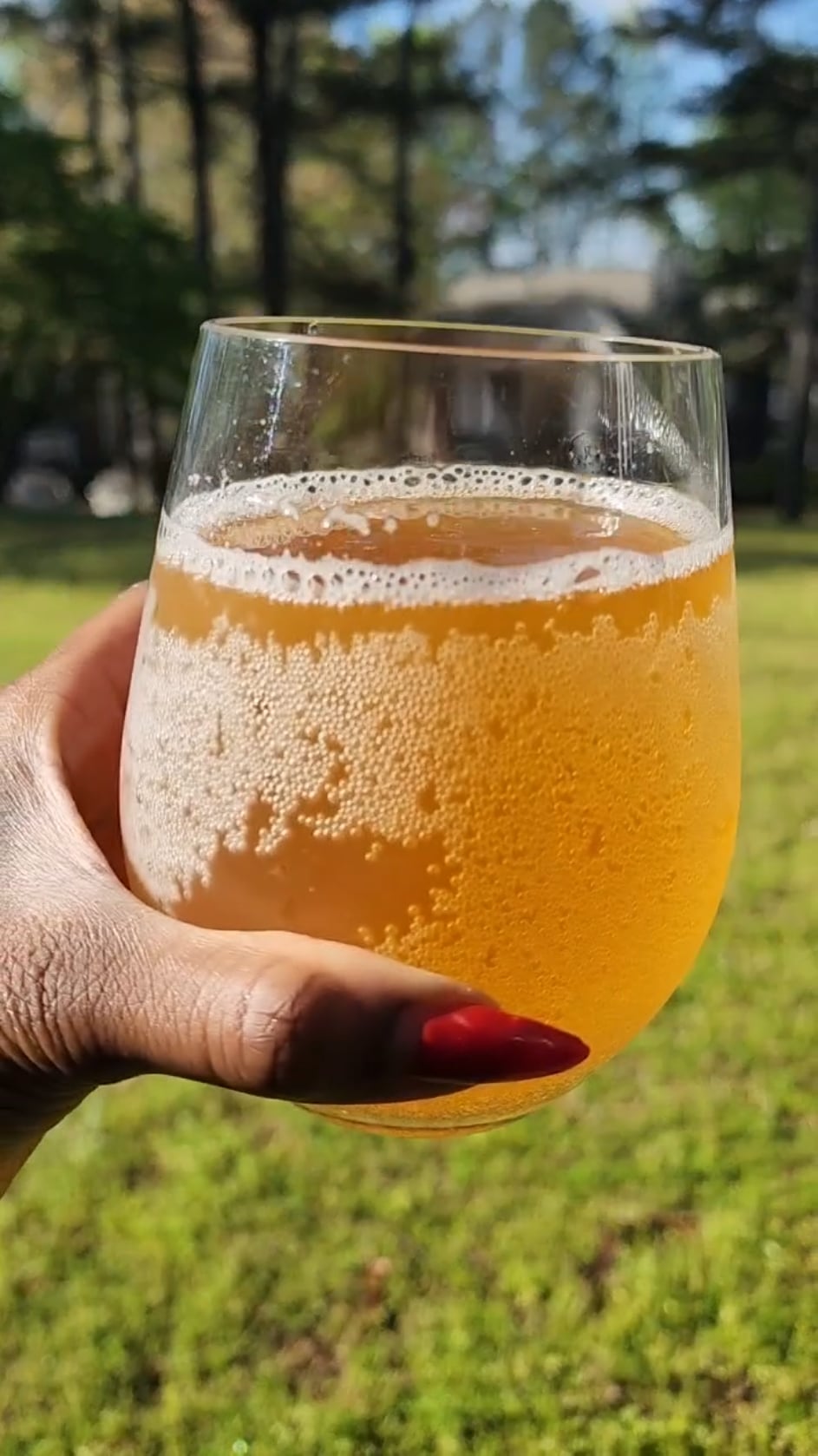 Kombucha addiction – ryan