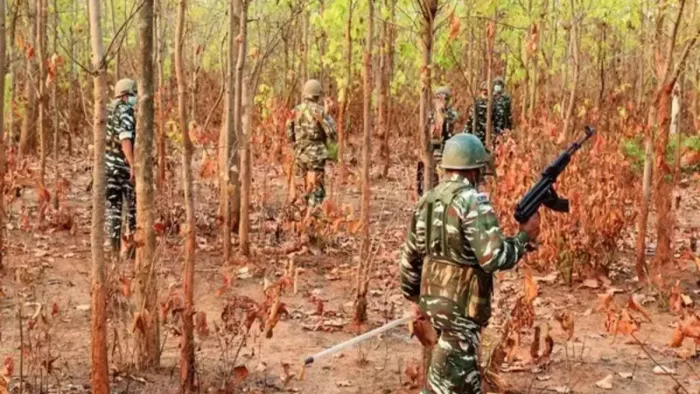 Three Maoists stacks in Bijapur mutting, IED has recovered, two arrested in sukma -three Maoists who died in Bijapur encounter, two arrested in Sukma who was arrested