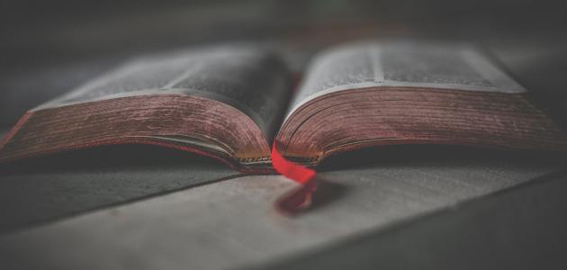 Fictional story – ryan