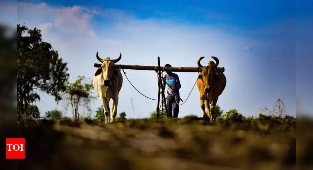 Oppn Fires Insensitivity, Betrayal Salvos at Govt Over Farmer’s Suicide
