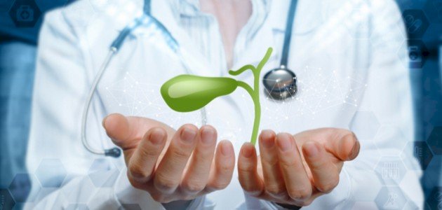 What does the gallbladder eat? – ryan