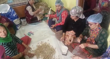 Iron Laddus prepares women of self -help groups to protect in tehri from anemia