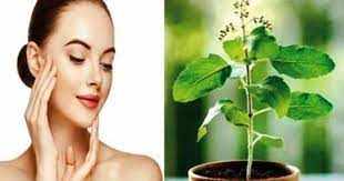Happy New Year 2023 The pimples are disturbed and use basil leaves like this, the face will bloom