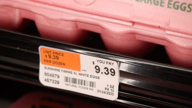 This Is the Real Reason Eggs Are More Expensive Than Ever – ryan
