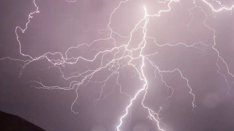 19 people who died within 48 hours due to storm in Bihar have destroyed crops