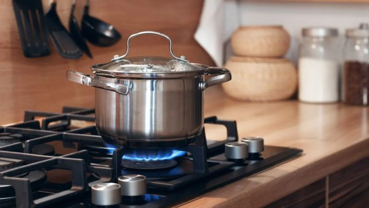 Best Lifetime Gas Stove: Budget Friendly Options for Modular Kitchens