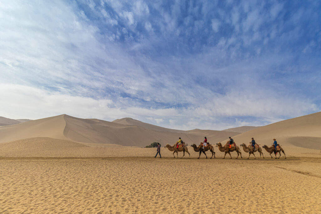 How does life thrive in the scorching heat of the desert? Look at this documentary that makes you think