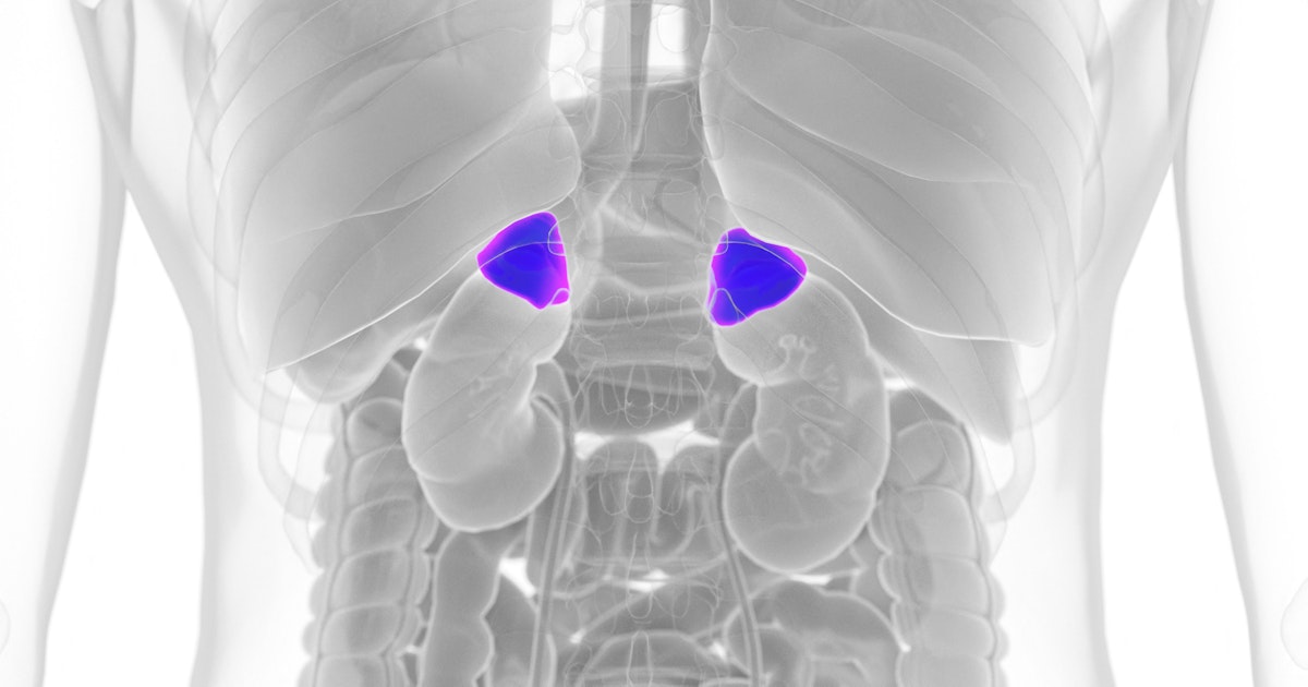 Hyper the adrenal glands .. know the most prominent complications