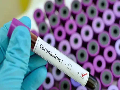 200 samples are taken from Sikar Sikar City daily and 100-100 samples out of all eight blocks
