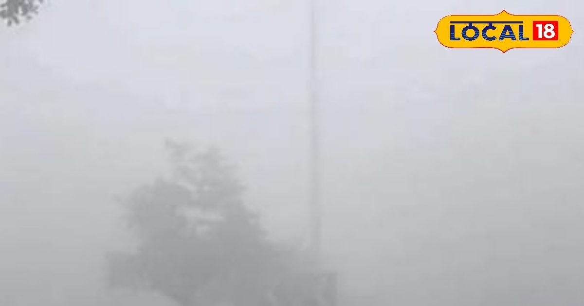 Rajasthan Weather Update: Warning of rain and hailstorm in many districts Rajasthan, IMD released warning for these districts