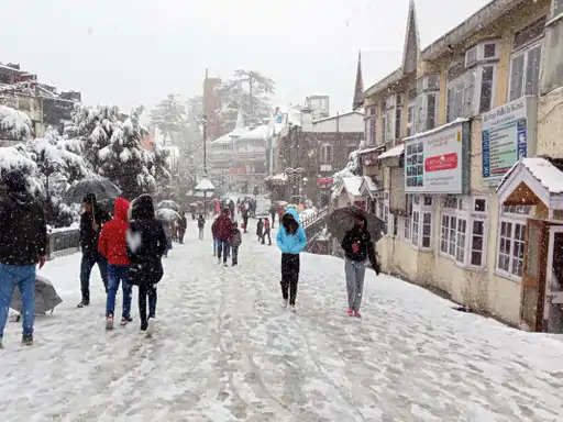Shimla plans to handle Snowfall Shimla MC: Instructions to officials not go home