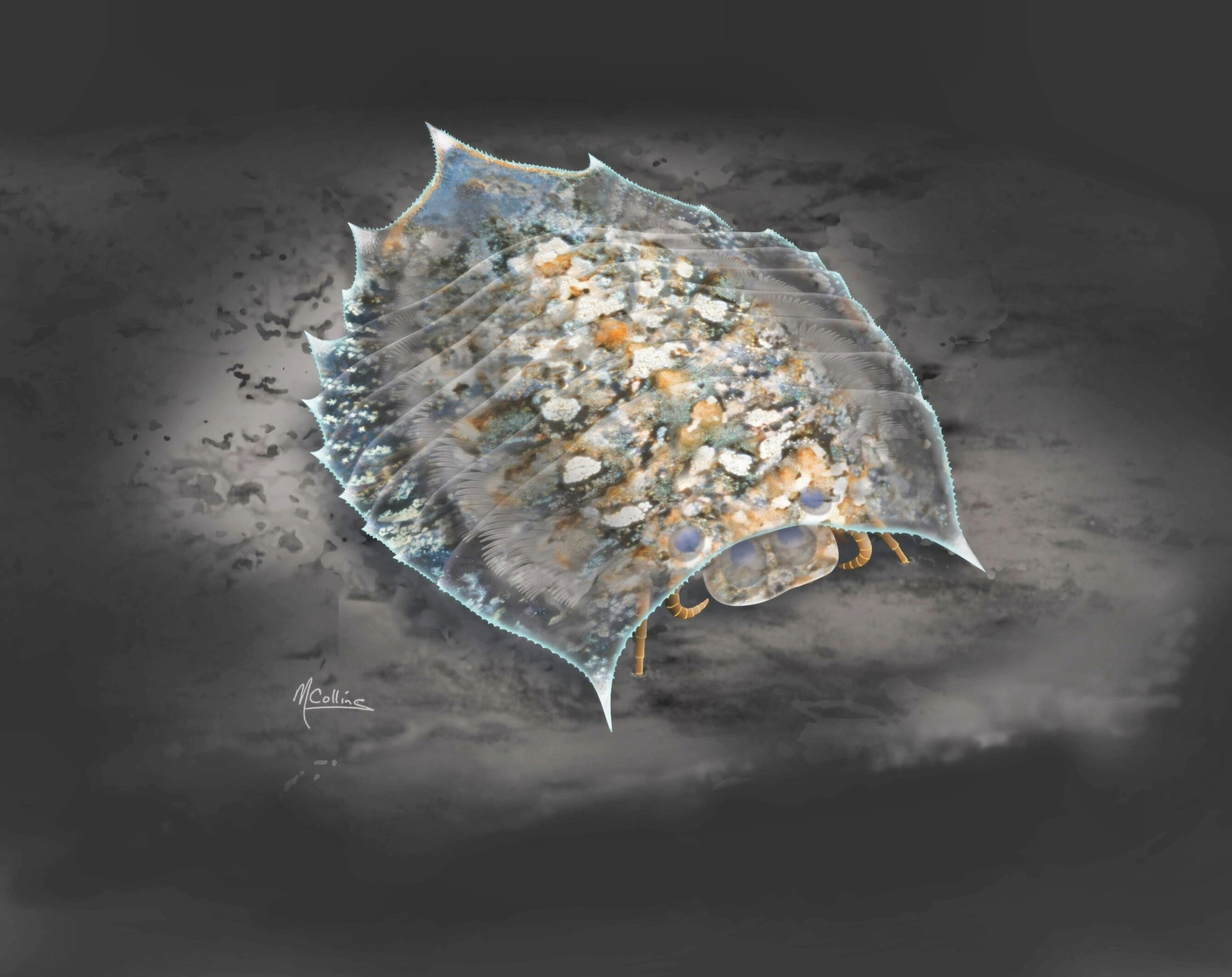 Cambrian Fossils Reveal New Clues about Arthropod Evolution – ryan