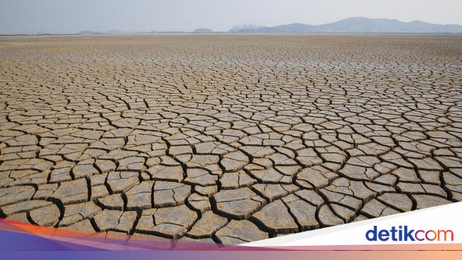 When is the peak of the 2025 dry season? This is BMKG’s explanation