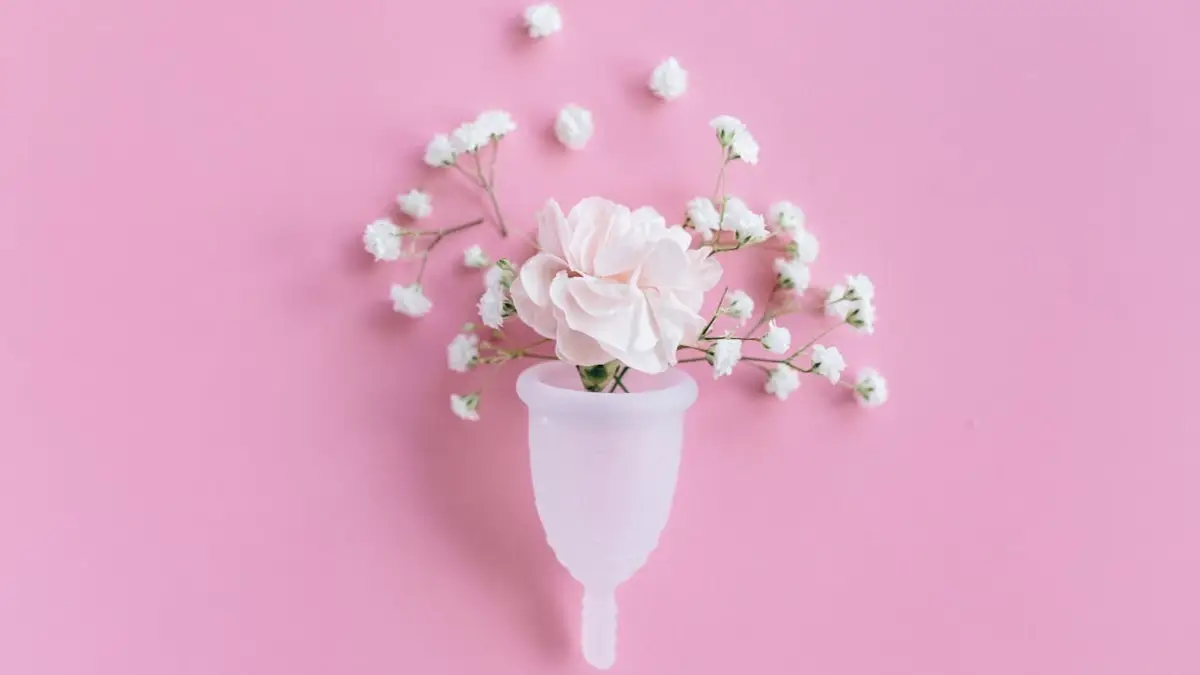 What Is Toxic Shock Syndrome? Risks Of Tampons, Menstrual Cups, And Wounds You Must Know – ryan