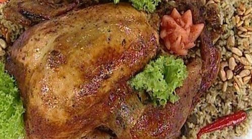 Stuffed Turkey – Web medicine