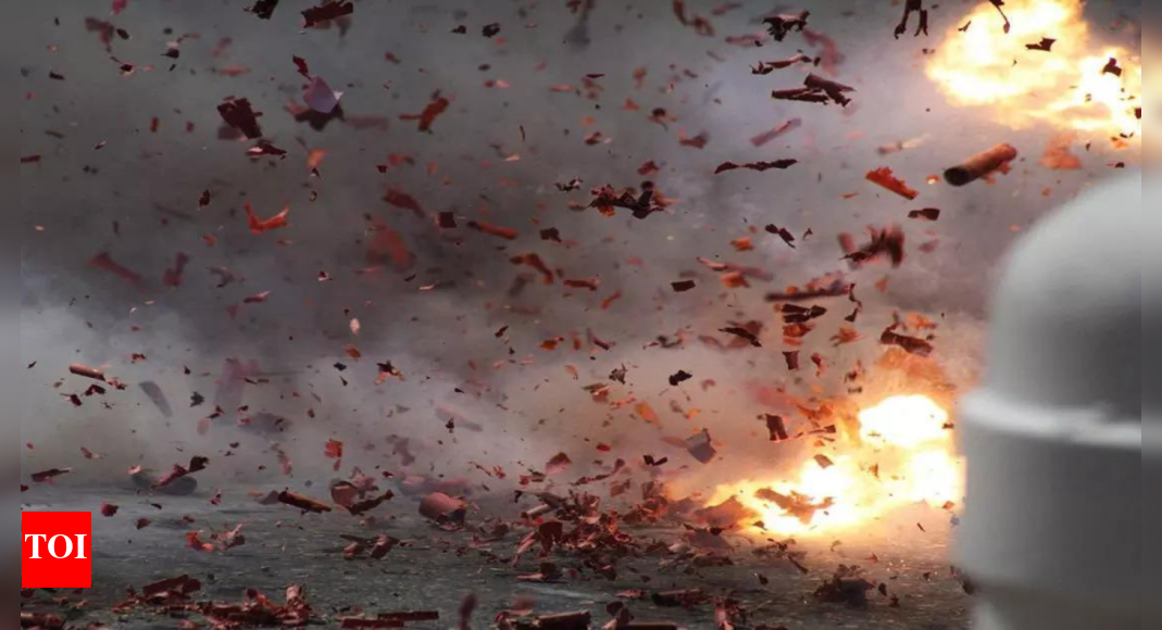 Explosion: 4 dead in explosion at fireworks plant in Andhra Pradesh’s Anakapalli