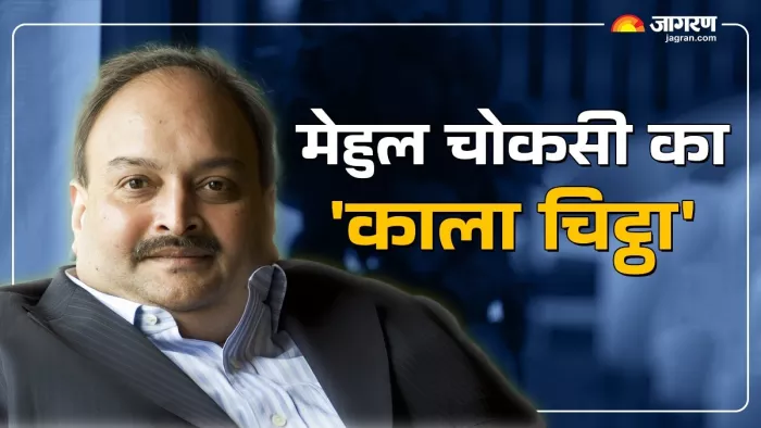 Explainer: 13 thousand crore scams, left the country 7 years ago … Read the full story of Meul Choksi -Meul Choksi case Timeline PNB scam details Profile in Belgium arrested how he is arrested