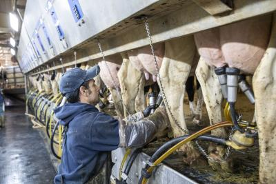 Why did Britain banned individual imports of meat, dairy products from all EU countries?