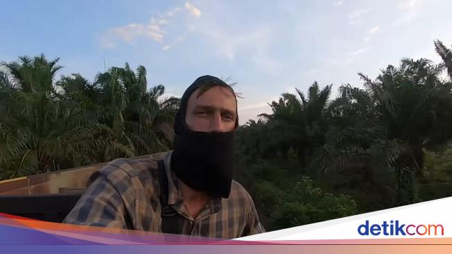 Kai investigates the employees about the viral foreigner driving with a coal train in Lampung
