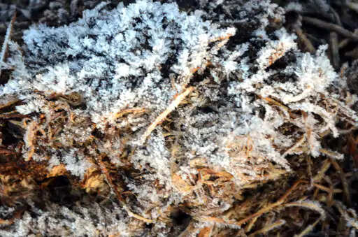 Jaipur clouds in Rajasthan, rain warning: Relief of cold for one or two days, cold cold will fall again from 31 December