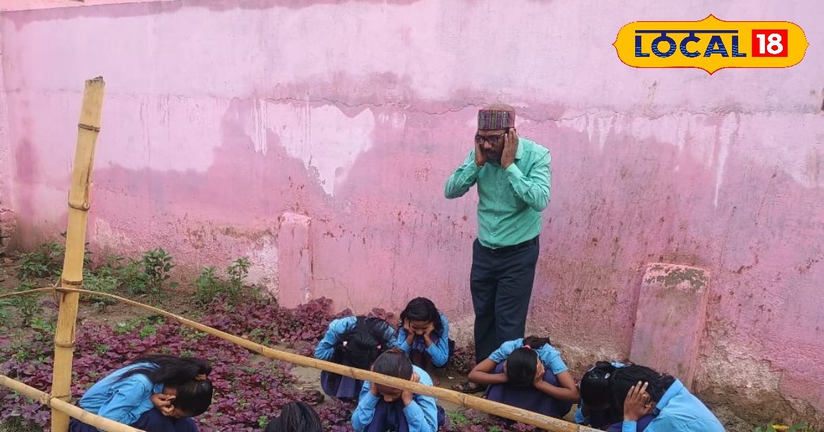 Do you know these measures to protect against Thakka? Watch the video of this teacher of Bihar! People prize