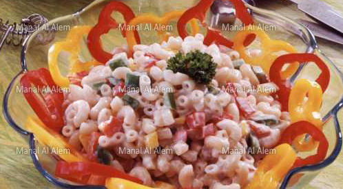 Mayonnaise Pasta Salad – Web Medicine