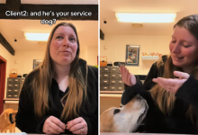 Woman Struggles With Dangerous Heart Condition—Then Dog Changes Everything – ryan