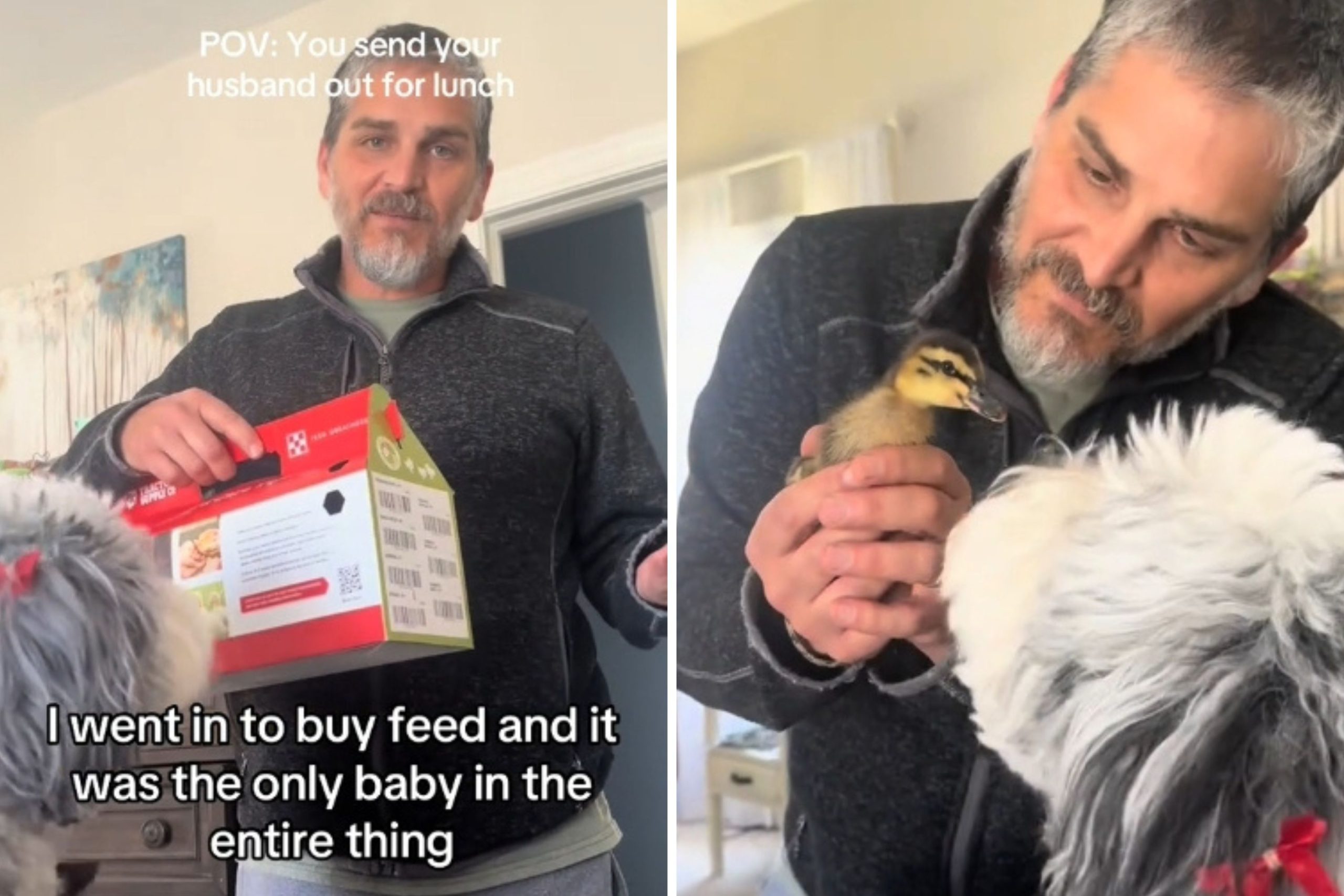 Woman Sends Husband Out for Lunch, Unprepared for What He Buys – ryan
