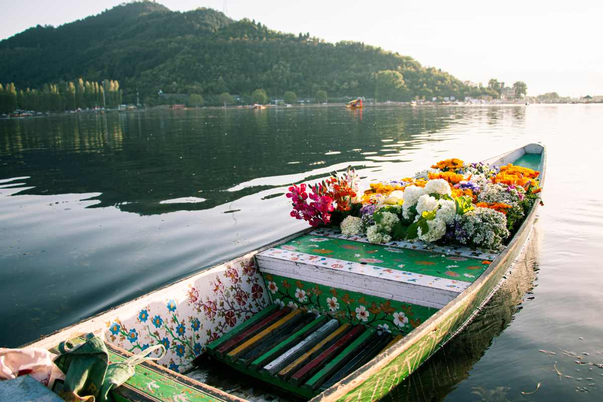 You should also do this more with friends and family, beautiful eyes will fascinate the thoughts