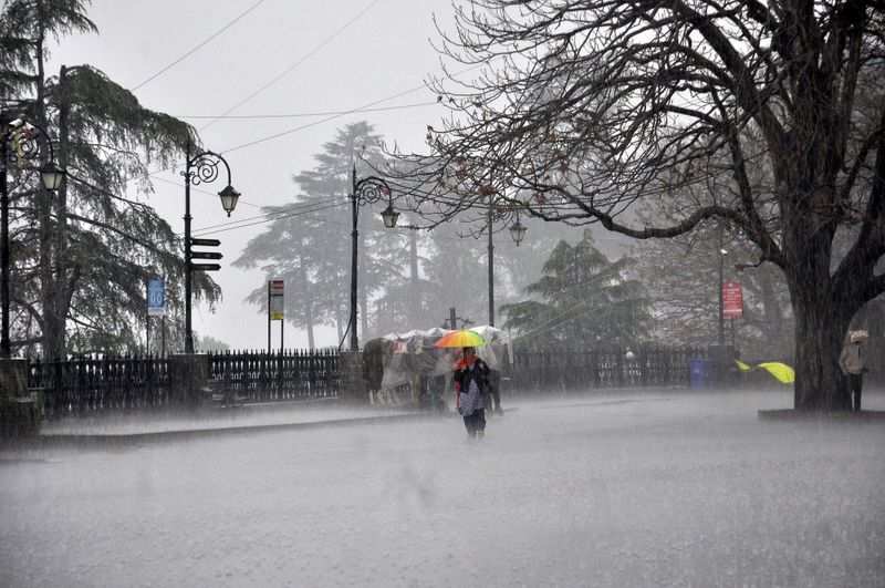 Rain and thunderstorm are estimated in some places in Himachal Pradesh today
