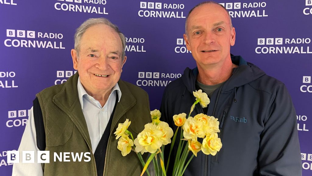 Falmouth Daffodil Grower Profit Royal Horticultural Society Award – ryan
