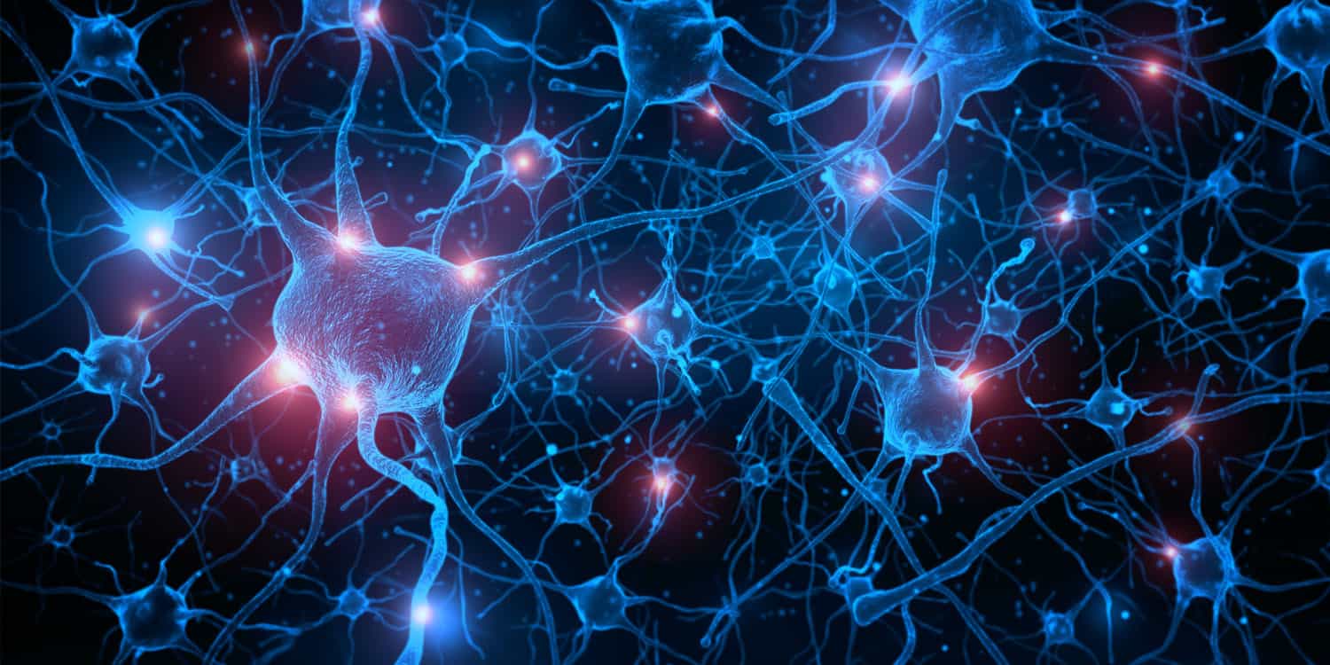 Ashwagandha-Derived Drug Shows Promise in Slowing Progression of Amyotrophic Lateral Sclerosis – ryan