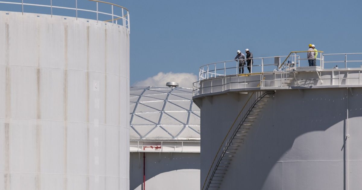 Oil prices restore thanks to the contraction of US crude shares