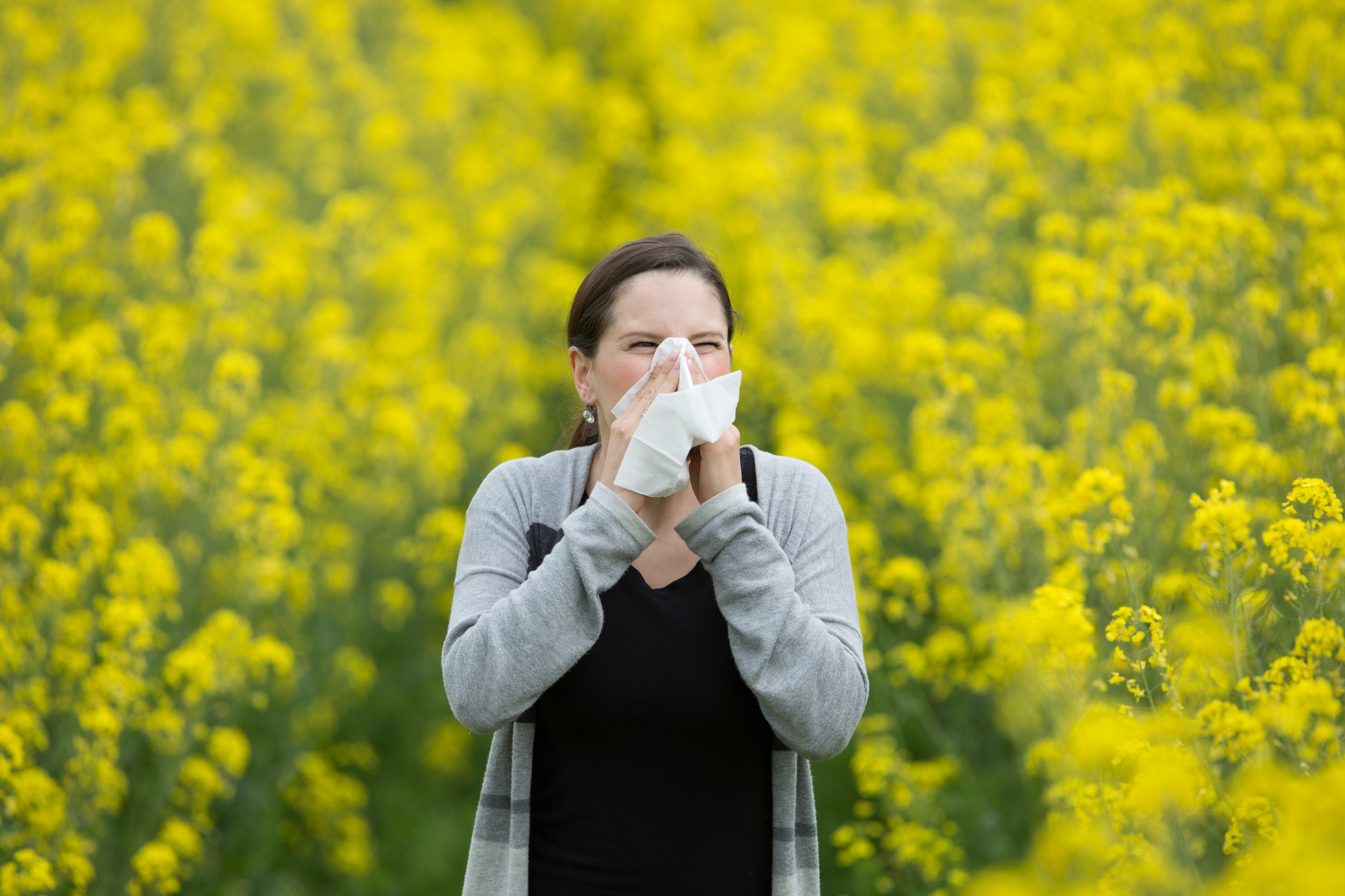 What Could Be Behind Your Hay Fever And Allergies – ryan