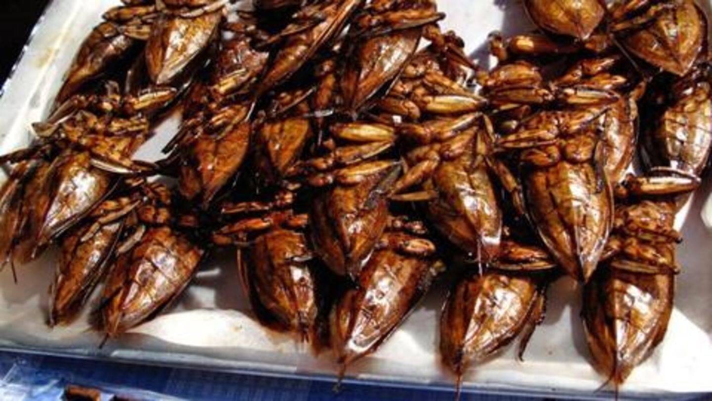 Once you open the package of online dish, 40 cockroaches found in food, then …