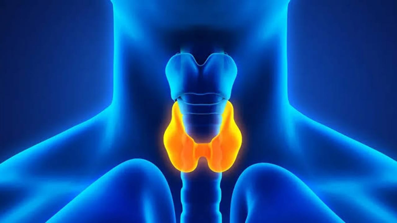 Common foods may weaken the effectiveness of treatment – ryan