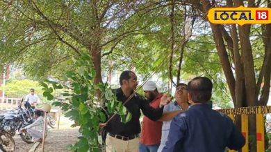 Save environment: 500 plants have come to life over 5 years, know how to save the safety of Burhanpur trees with the help of rope and wood