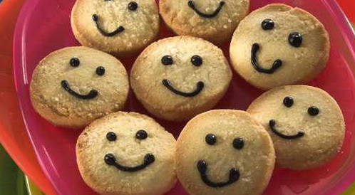 Palmal biscuits – web medicine