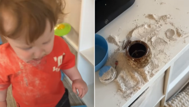 Mom’s ‘Shock and Disbelief’ As Toddler Eats Grandpa’s Ashes – ryan