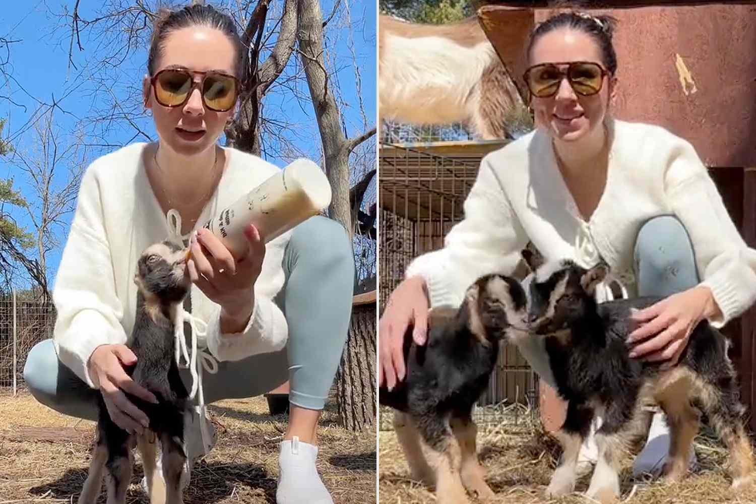 Tiny Goat with No Ears Goes Viral and the Internet Is Obsessed (Exclusive) – ryan